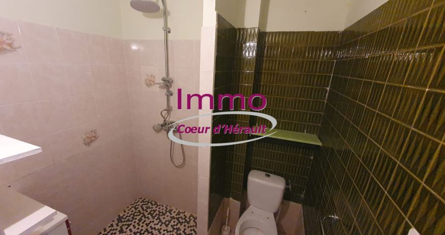 vente Maison de village Saint Andre De Sangonis