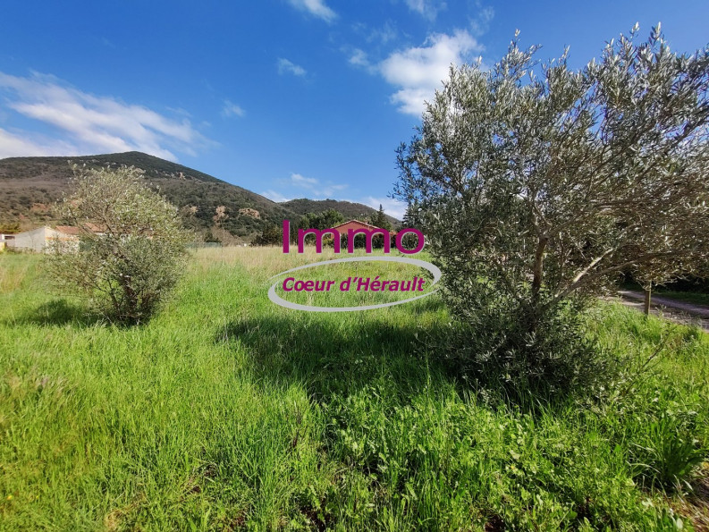 vente Terrain à aménager Salasc - Photo 2