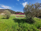 vente Terrain à aménager Salasc