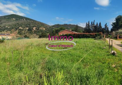 vente Terrain à aménager Salasc