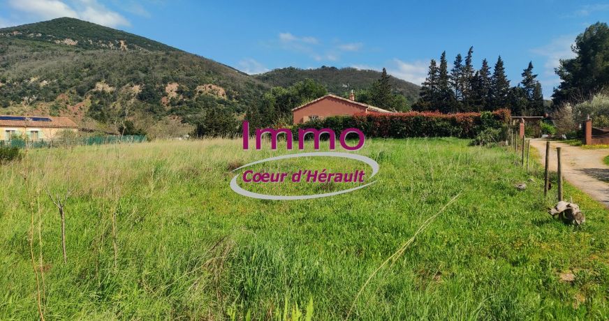 vente Terrain à aménager Salasc