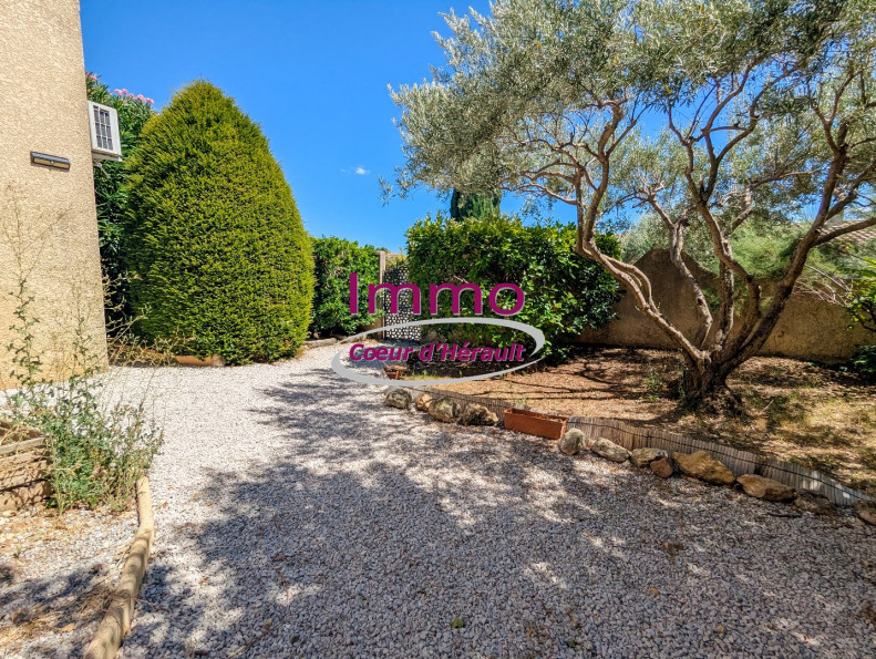 vente Maison et dépendances Saint Felix De Lodez - Photo 3