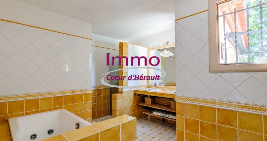 vente Maison et dépendances Saint Felix De Lodez