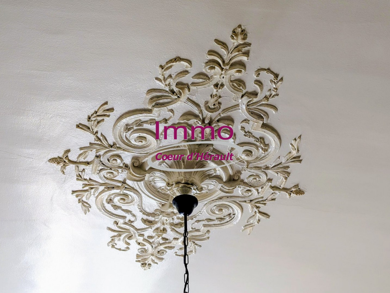 vente Maison de caractère Aspiran - Photo 7