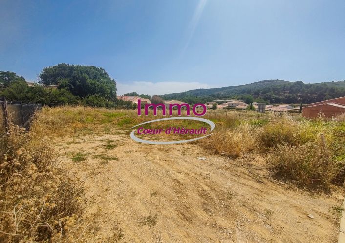 vente Terrain constructible Clermont L'herault