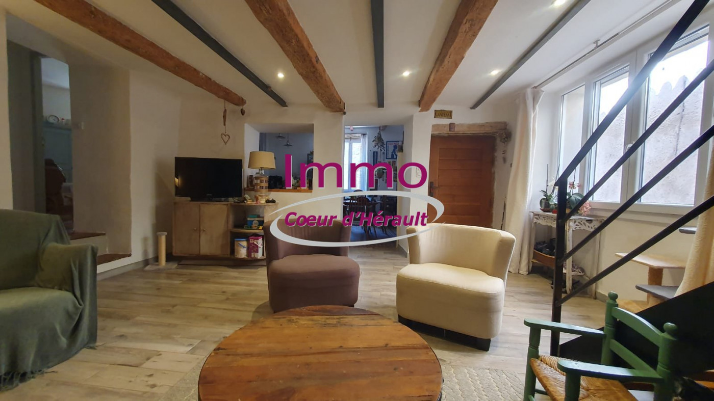 vente Maison de village Saint Jean De La Blaquiere - Photo 1