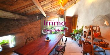 vente Saint Jean De La Blaquiere