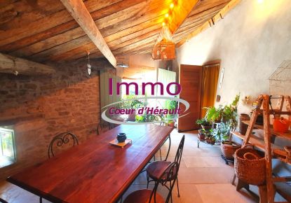 vente Maison de village Saint Jean De La Blaquiere