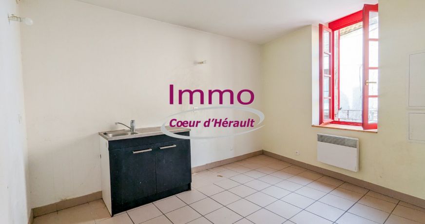 vente Maison de village Montpeyroux