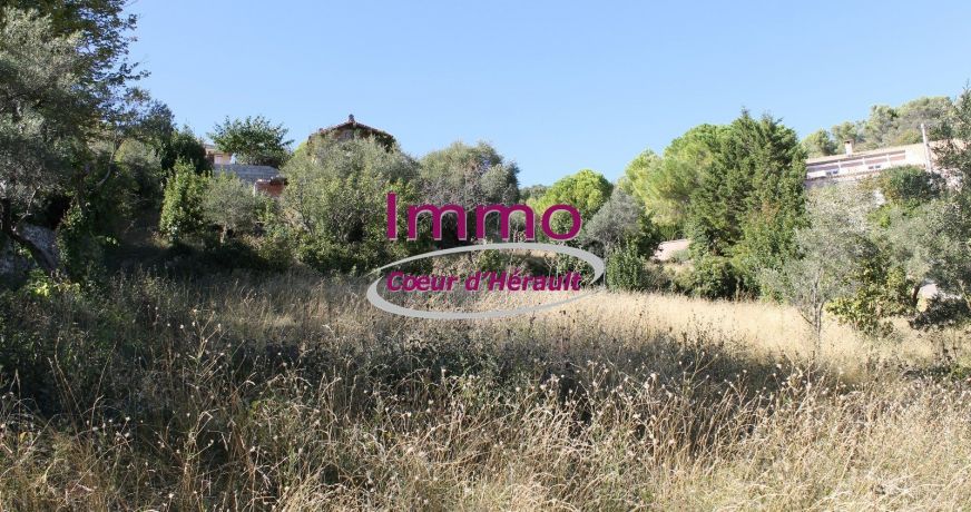 vente Terrain constructible Clermont L'herault