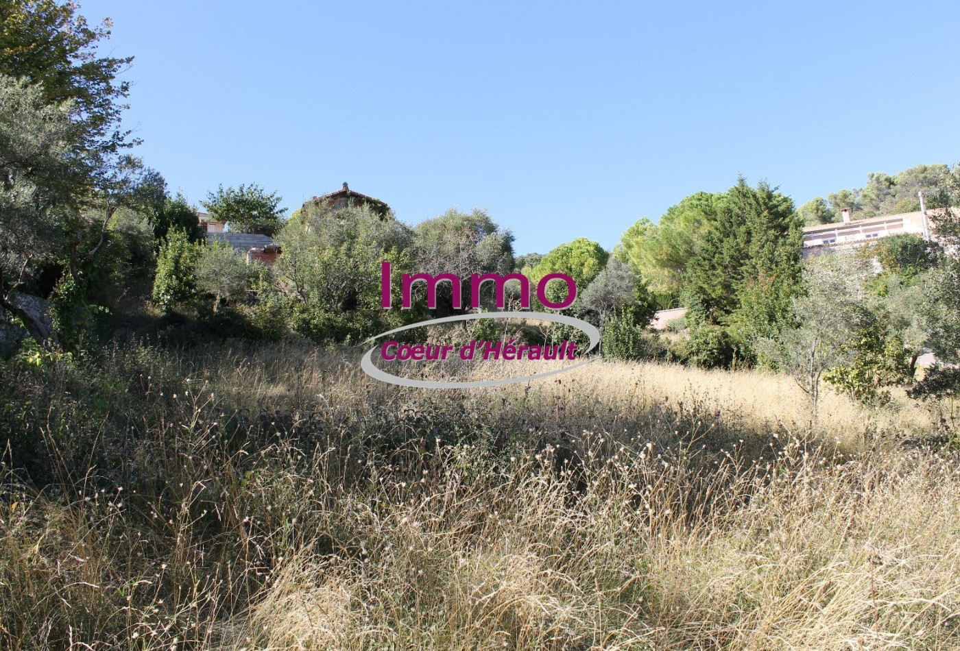 vente Terrain constructible Clermont L'herault - Photo 2
