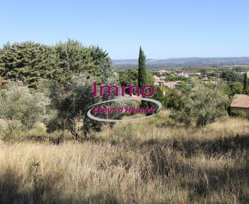 vente Clermont L'herault