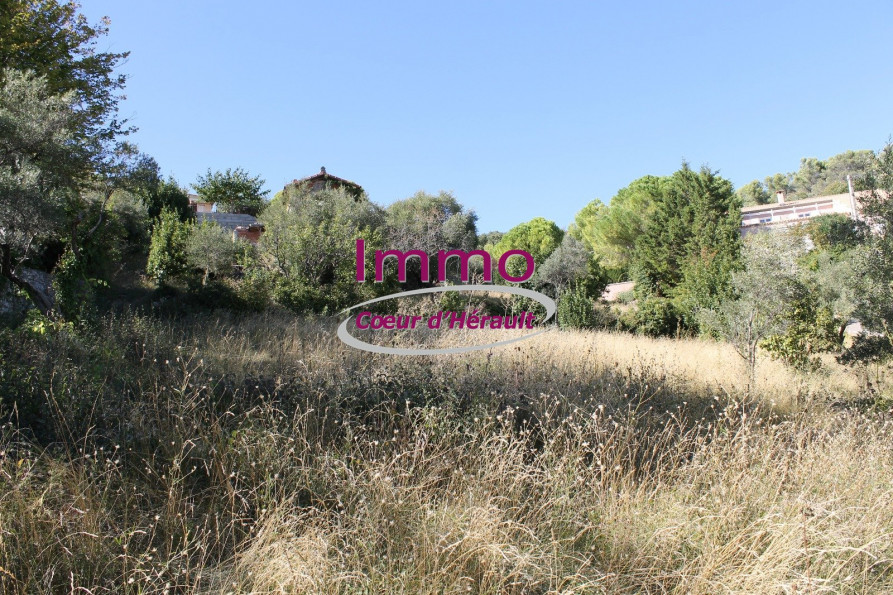 vente Terrain constructible Clermont L'herault - Photo 3