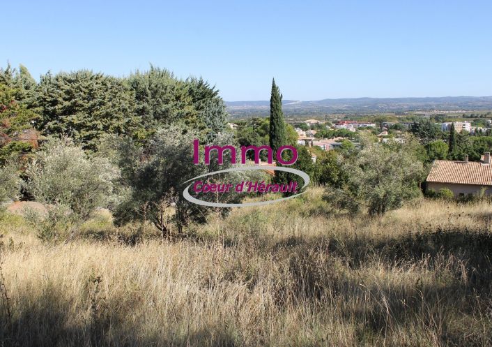 vente Terrain constructible Clermont L'herault