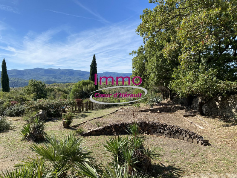 vente Maison en pierre Bedarieux - Photo 7