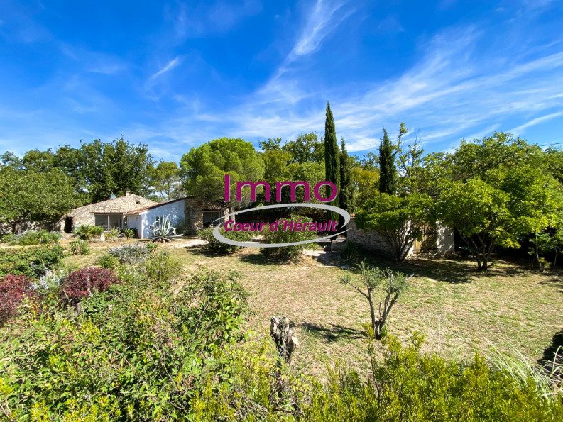 vente Maison en pierre Bedarieux - Photo 3