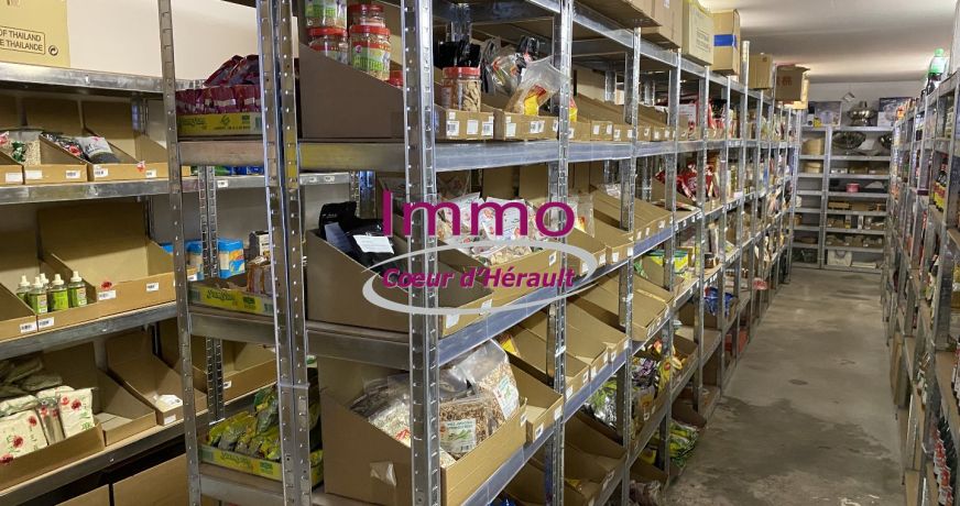 vente Local commercial Saint Andre De Sangonis