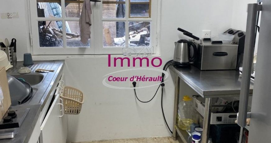 vente Local commercial Saint Andre De Sangonis