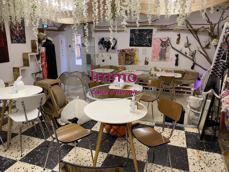 vente Local commercial Saint Andre De Sangonis - Photo 3