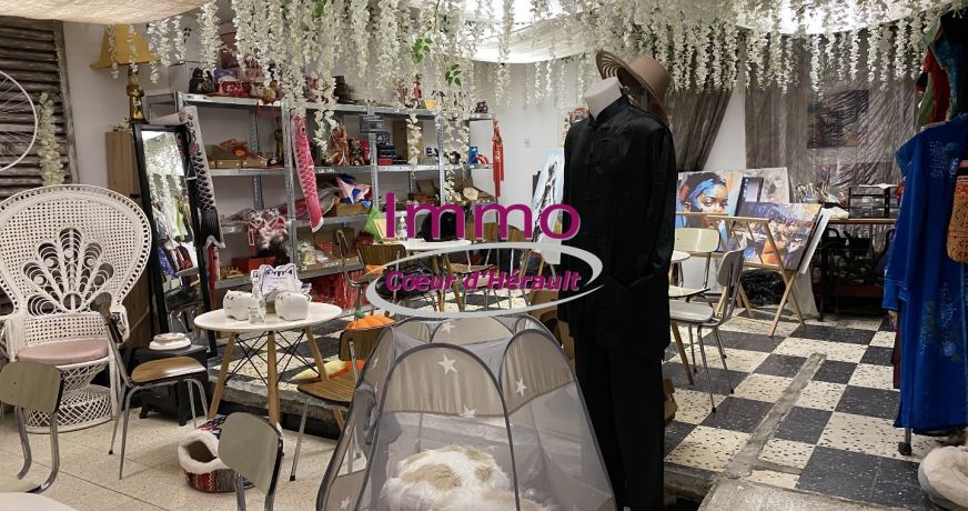 vente Local commercial Saint Andre De Sangonis