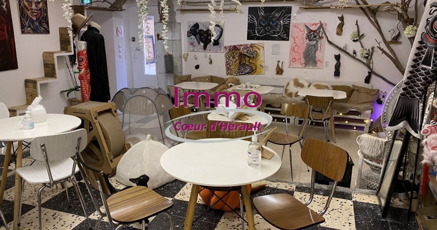 vente Local commercial Saint Andre De Sangonis