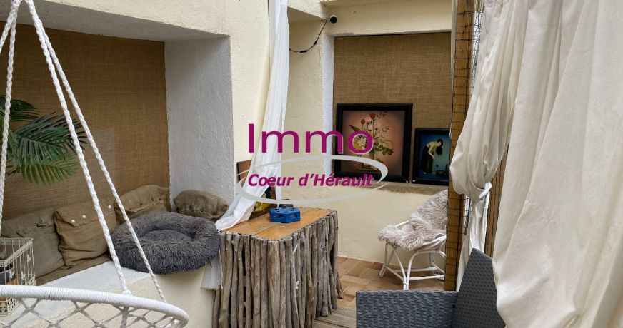 vente Local commercial Saint Andre De Sangonis