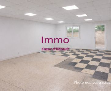 vente Saint Andre De Sangonis