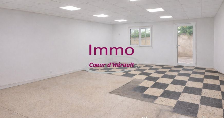 vente Local commercial Saint Andre De Sangonis