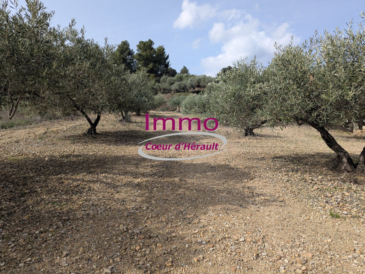 vente Terrain à aménager Peret - Photo 5