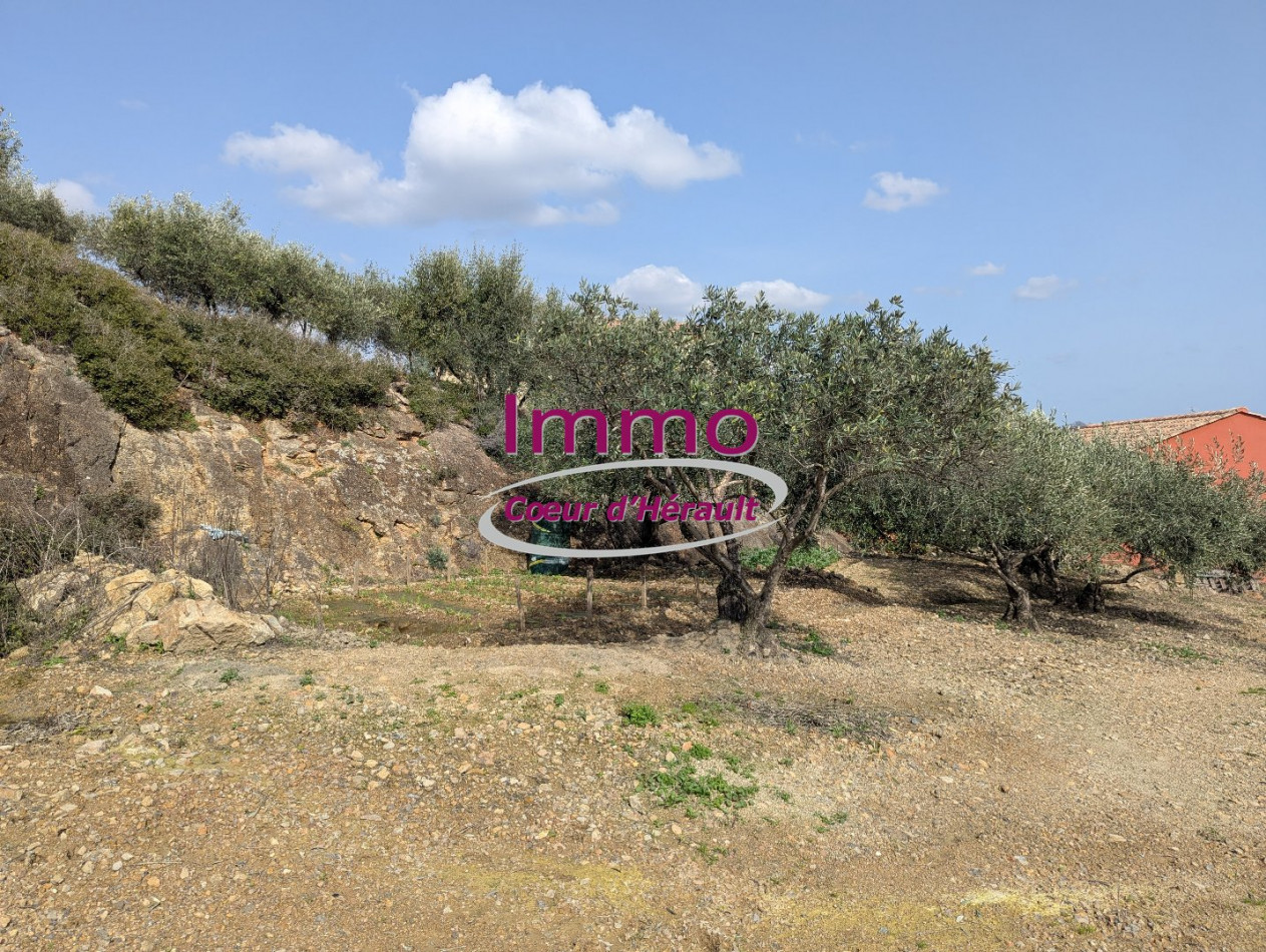 vente Terrain à aménager Peret - Photo 4