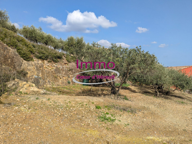 vente Terrain à aménager Peret - Photo 4