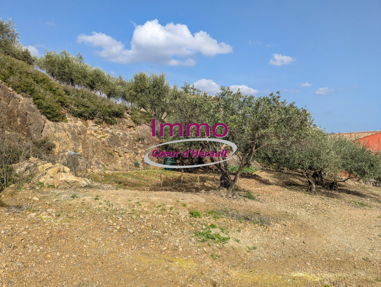 vente Terrain à aménager Peret - Photo 4