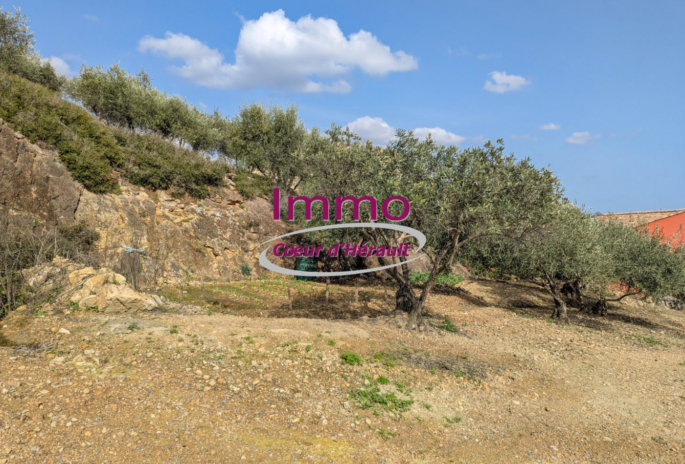 vente Terrain à aménager Peret - Photo 4