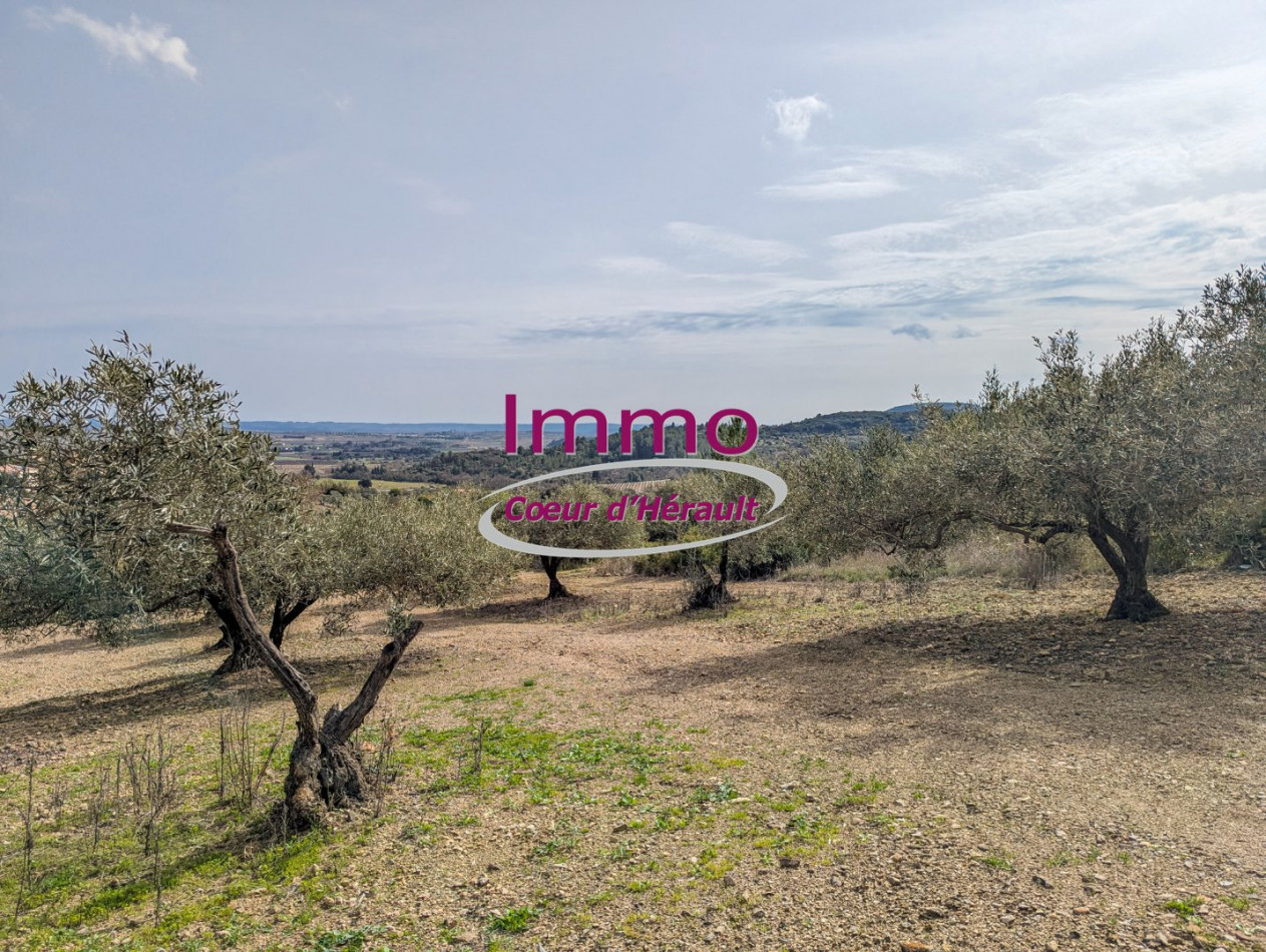 vente Terrain à aménager Peret - Photo 5