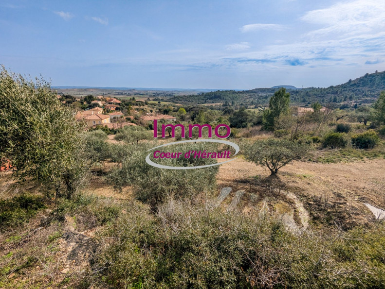 vente Terrain à aménager Peret - Photo 3