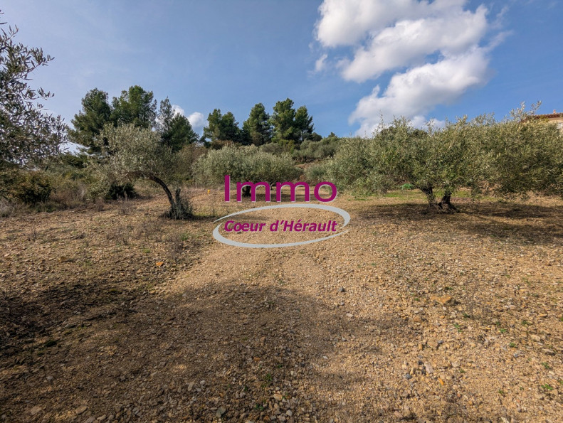vente Terrain à aménager Peret - Photo 2