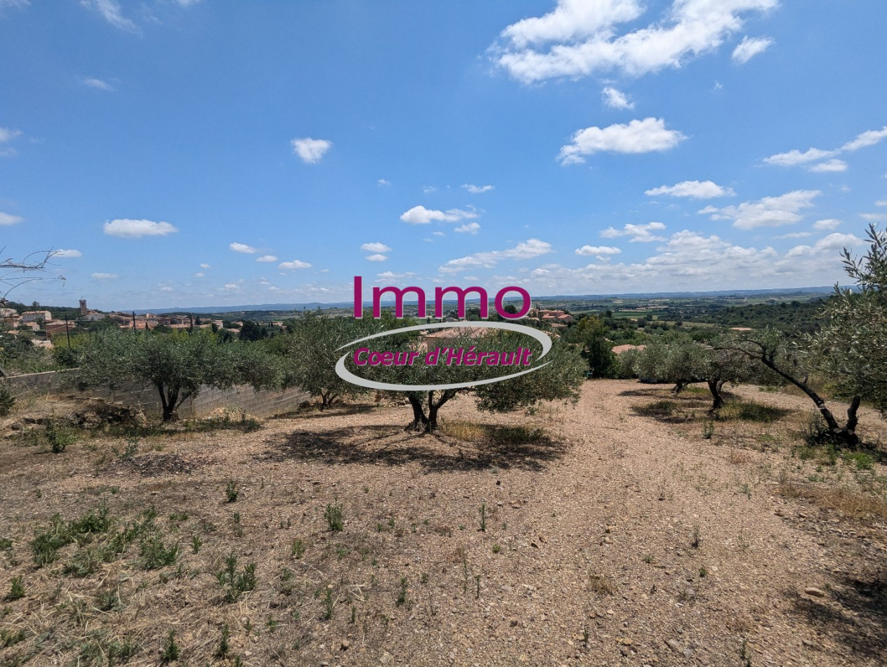 vente Terrain à aménager Peret - Photo 3