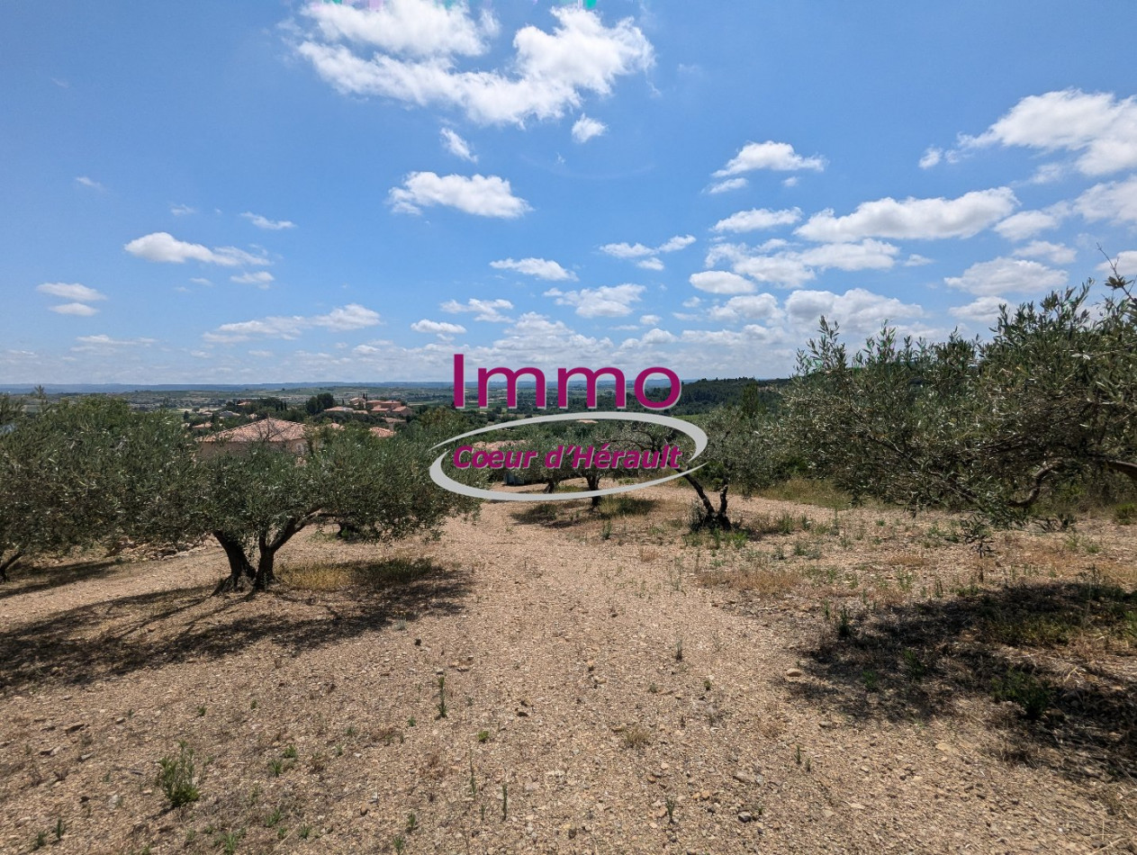 vente Terrain à aménager Peret - Photo 6