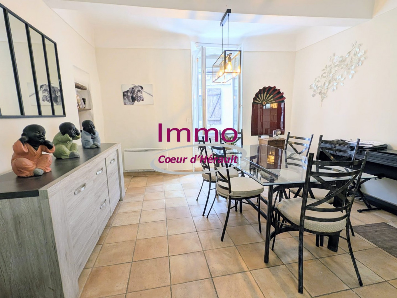 vente Maison de village Nebian - Photo 1
