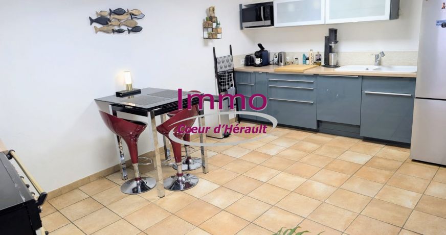 vente Maison de village Nebian