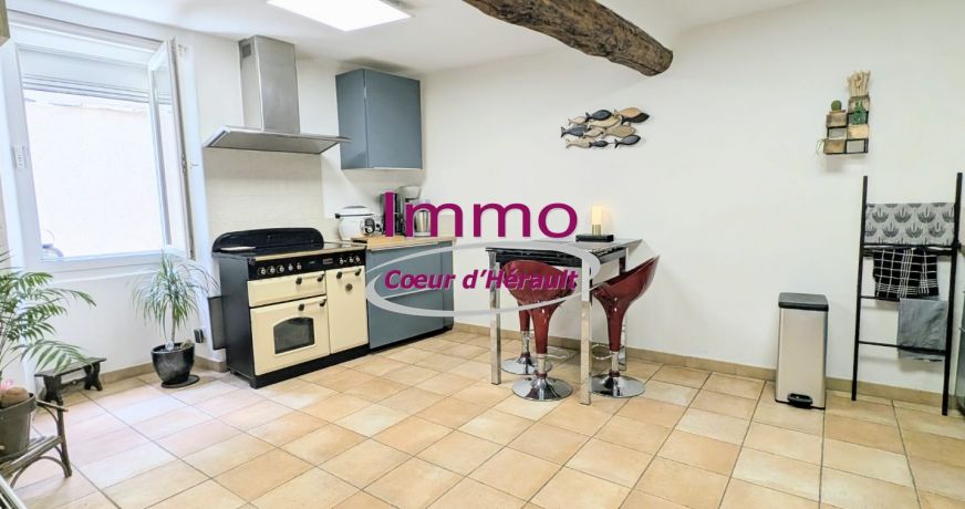 vente Maison de village Nebian