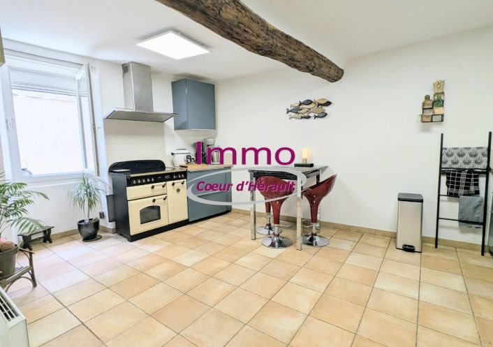 vente Maison de village Nebian