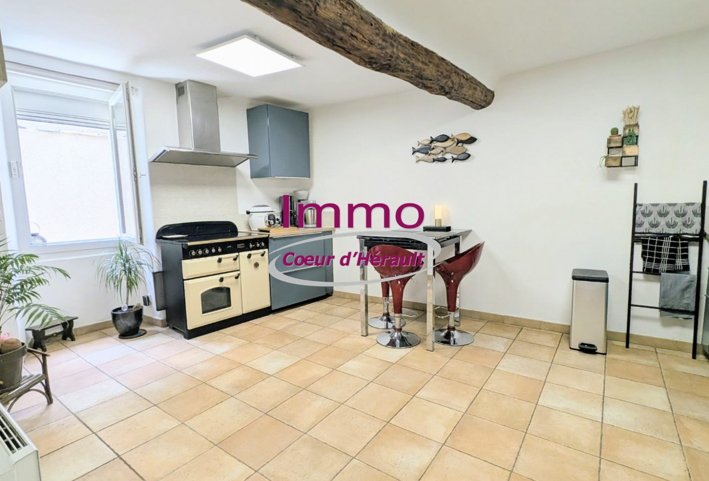 vente Maison de village Nebian - Photo 4