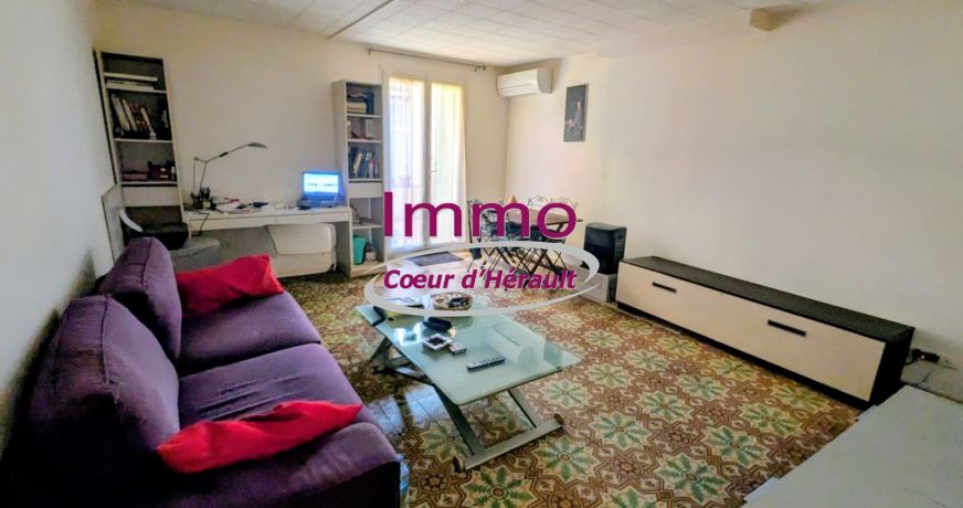 vente Immeuble de rapport Aniane