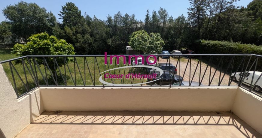 vente Appartement à rénover Gignac