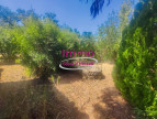 vente Maison Le Bosc