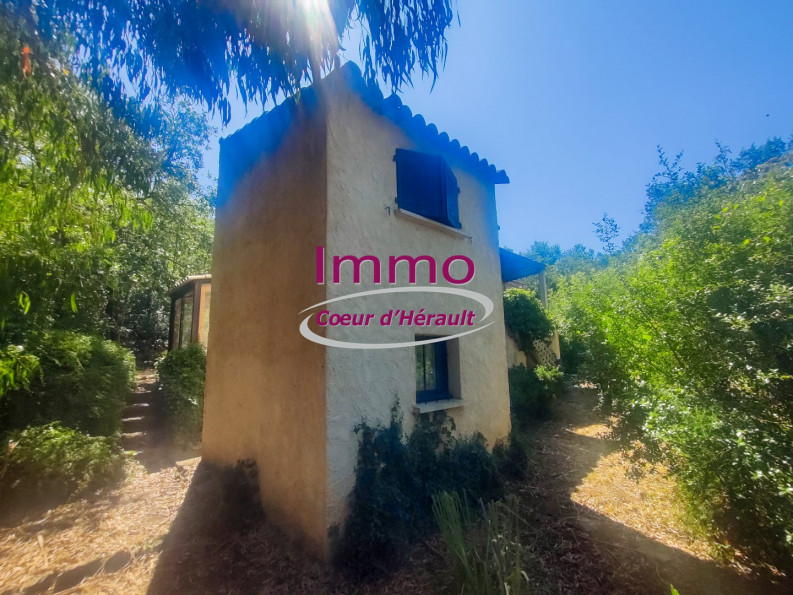vente Maison Le Bosc - Photo 1