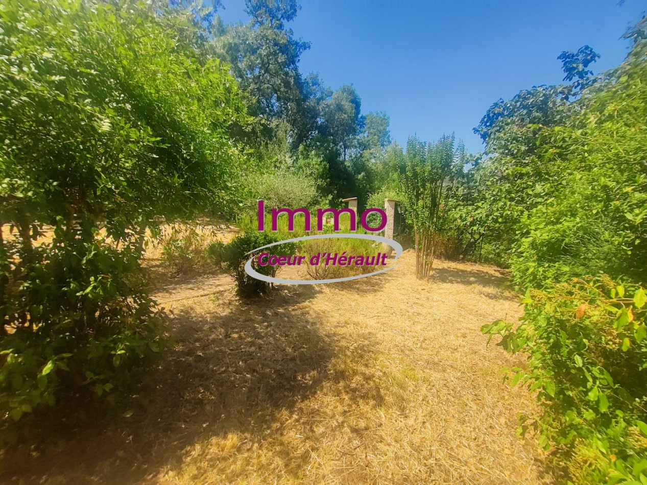 vente Maison Le Bosc - Photo 4