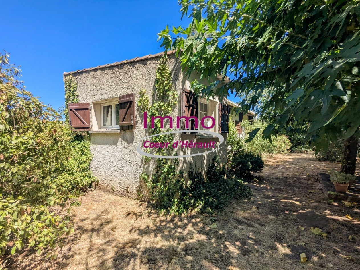 vente Maison Le Bosc - Photo 1