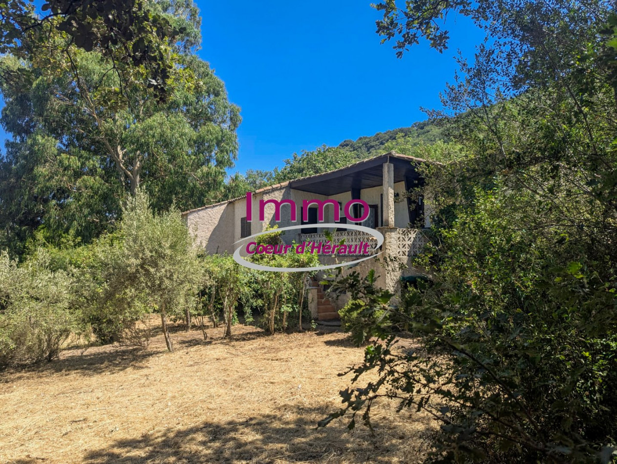 vente Maison Le Bosc - Photo 2